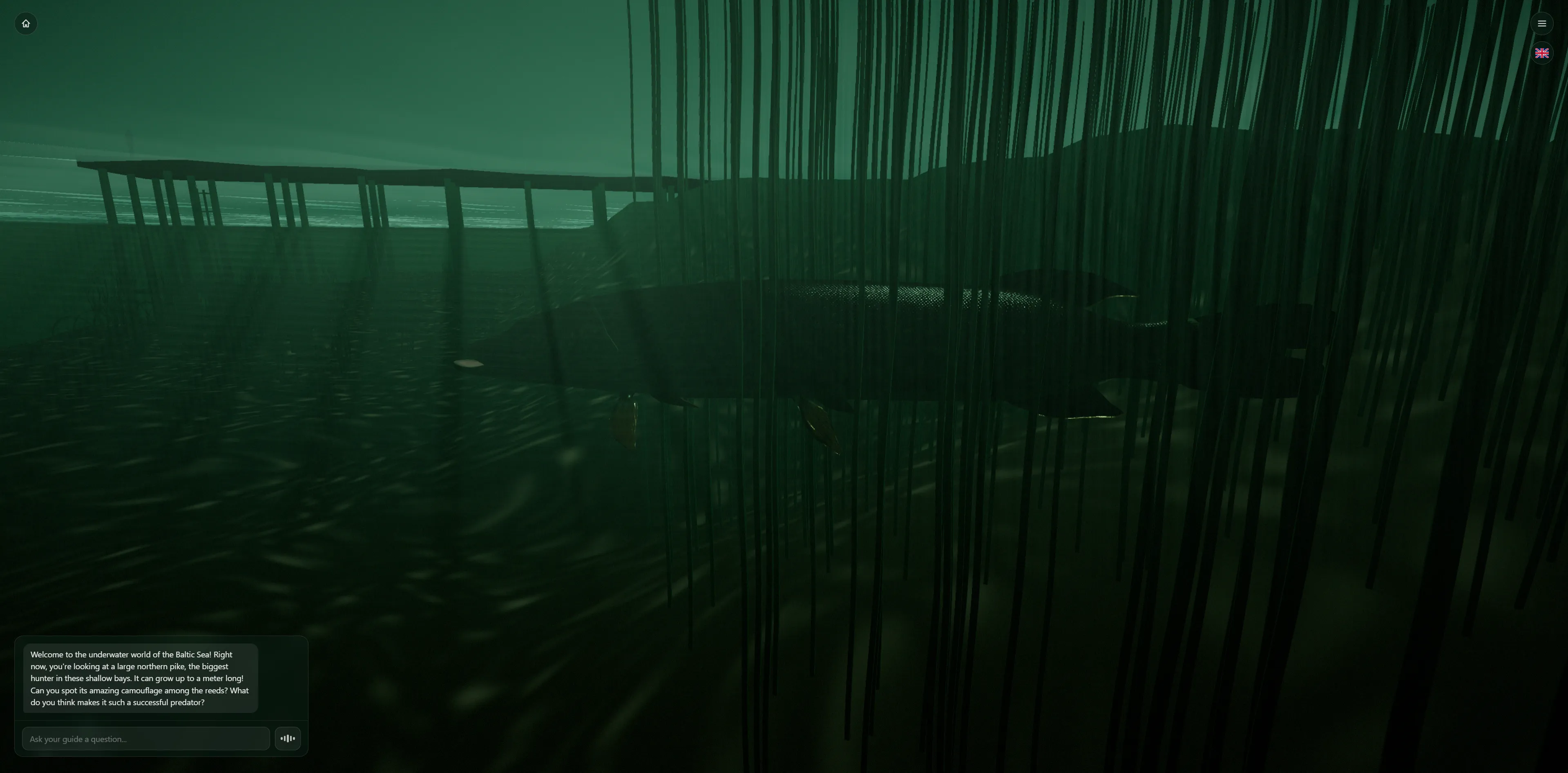 A chat-based AI interface guiding the user through an underwater 3D scene